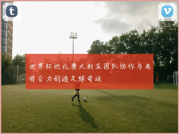 世界杯巡礼澳大利亚团队协作与老将合力创造足球奇迹
